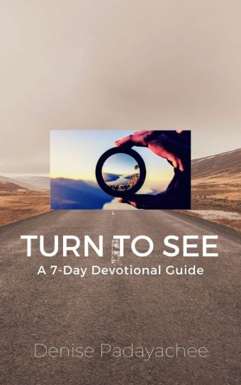 “When one turns to the Lord the veil is removed” 2 Corinthians 3:16.  This is a secret to seeing, and to seeing more clearly. 
Available now as an E-Book on Amazon. Click on the image above to go to the Amazon store to read more about it.